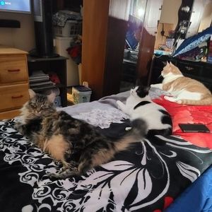 Meet your Posher, Joy